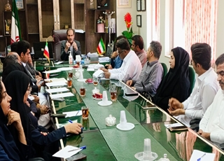 پایش مالی ،  درآمدی و عملکردی  بیمارستان ایران